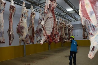 Avrupa Standartlarında Hizmet Sunuluyor 