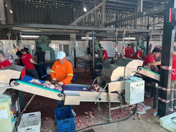 Kocaeli’de Tatlı Kurban Bayramı Telaşı