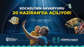 Veee Kocaeli’nin Dev Akvaryumu Açılıyor! 