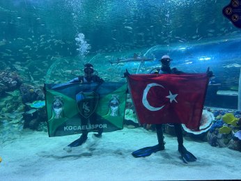 Akvaryumun İçinde Yeşil-Siyah Coşkusu