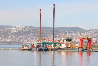 Körfez'de yunuslar dans ediyor 