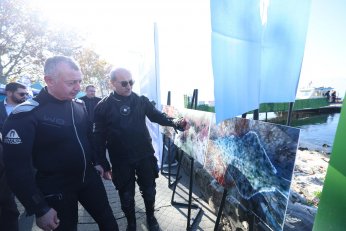Tahir Başkan Körfeze dalış yaptı 