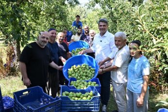 Kartepe’de armut bereketi şenliğe taşınıyor!