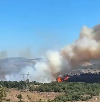 Gebze'de Orman Yangını!