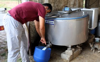 Hibe desteği; üreticinin yüzünü güldürüyor