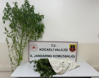 Kartepe’de uyuşturucu operasyonu