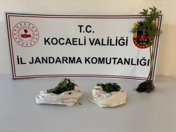 Kartepe ve Gölcük’te uyuşturucu operasyonu