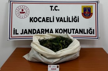  4 İlçede Uyuşturucu Operasyonu!