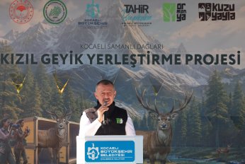 “Biz Geyik Muhabbeti Yapmıyoruz!”