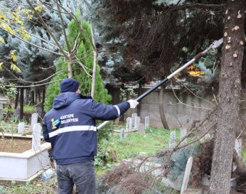 Kartepe'de Mezarlıklara Düzenli Bakım 