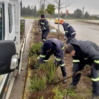 Körfez Kışa Çiçeklerle Hazırlanıyor 