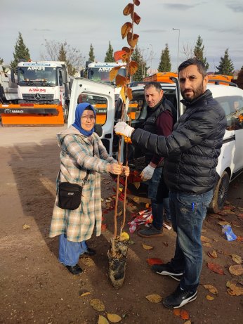 14 Futbol Sahası Büyüklüğünde Hurma Bahçesi Kuruluyor 