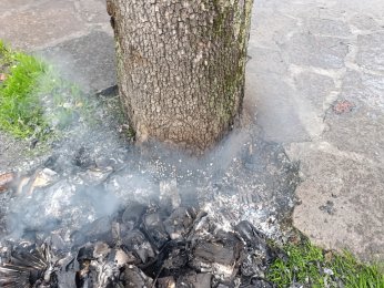 Büyükşehir Zabıtası'ndan Örnek Duyarlılık
