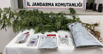 İzmit’te Jandarmadan Uyuşturucu Operasyonu