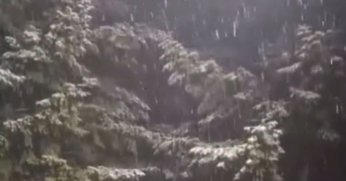 Kocaeli'ye ilk kar düştü 