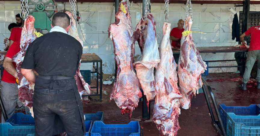 Kocaeli’de Tatlı Kurban Bayramı Telaşı