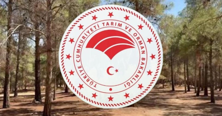 1874 sözleşmeli personel alınacak.