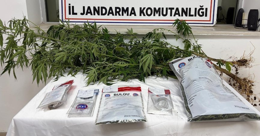 İzmit’te Jandarmadan Uyuşturucu Operasyonu