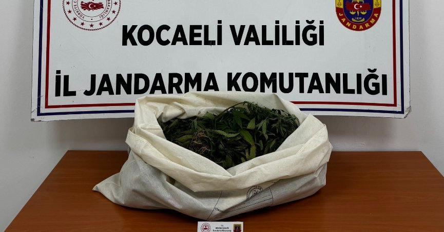  4 İlçede Uyuşturucu Operasyonu!