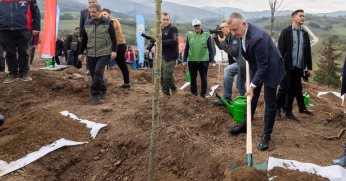 Karamürsel'de yanan bölgeler 3 bin fidanla yeşerecek 